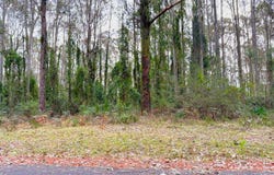 213, Goodland Road, Woollamia, NSW 2540