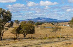 19 Darthula Drive, Mudgee, NSW 2850