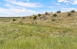 Dreeite, Vic 3249