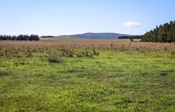 1790 Braidwood Road, Tarago, NSW 2580