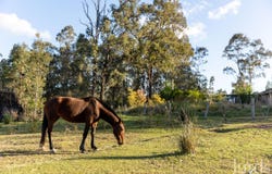 139 Lake Road, Elrington, NSW 2325