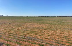 23060 Sturt Highway, Yamba, SA 5340