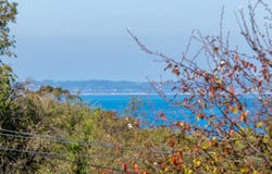 91 Beach Hill Avenue, Somers, Vic 3927