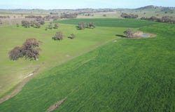 'Willowbank' Urana Road, Jindera, NSW 2642