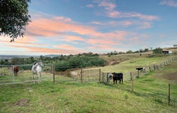 261 TALLEGALLA TWO TREE HILL ROAD, Marburg, Qld 4346