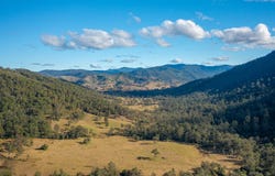 125 Jasper Creek Road, Mount Seaview, NSW 2446