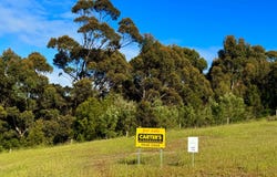 27 Gillingham Loop, Denmark, WA 6333