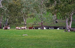 152 Karwin Road, Humbug Scrub, SA 5114