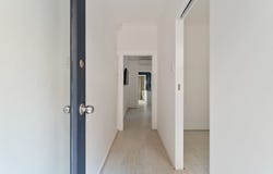 31 Terry Street, Surry Hills, NSW 2010