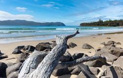 931 Lighthouse Road, South Bruny, Tas 7150