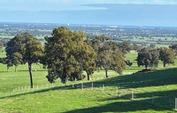 748 Henty Road, Henty, WA 6236