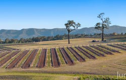 257 Sweetwater Road, Pokolbin, NSW 2320