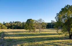 Lot 5, 116 Thrushs Road Road, Dulong, Qld 4560