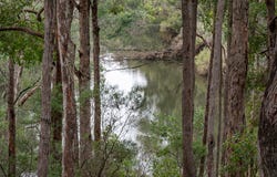 51 Hovea Place, Jalbarragup, WA 6275