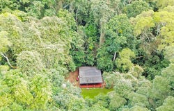 85 Figtree Close, Malanda, Qld 4885
