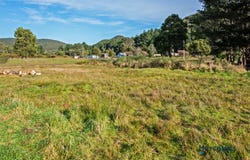 10 Stops Street, Zeehan, Tas 7469
