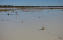 9479 Balonne Highway, Cunnamulla, Qld 4490