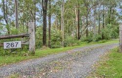 267 Mororo Road, Mororo, NSW 2469