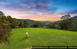 43 Rowe Lane, Cedar Creek, Qld 4207