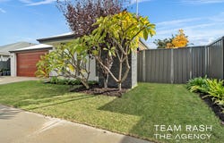 52 Salwood Loop, Banksia Grove, WA 6031