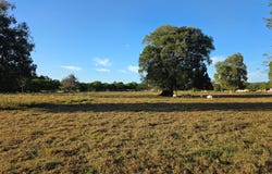 10 Muggleton Street, Sarina, Qld 4737