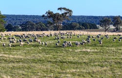 Lot 4 Browns Lane, Snake Valley, Vic 3351