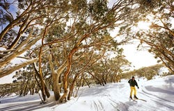Lot 42, 38 Ridge Views Estate, Rosedale, Vic 3847