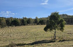 79 Mulwaree Street, Tarago, NSW 2580