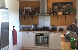 29 Irish Town Road, St Marys, Tas 7215