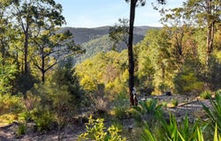 1507 Murrays Run Road, Murrays Run, NSW 2325