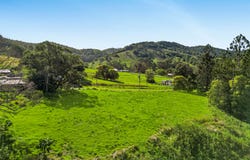 169 Dunns Road, Wolffdene, Qld 4207