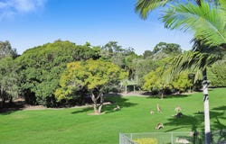 5053 St Andrews Terrace, Sanctuary Cove, Qld 4212