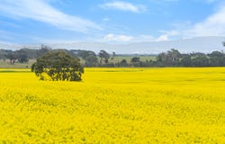 47 Price Road, Ballyrogan, Vic 3375