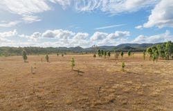 2788 Atkinson Road, Kunwarara, Qld 4702