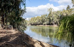 12 Tangula Place, Murray Downs, NSW 2734