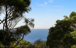 121 Plateau Road, Bilgola Plateau, NSW 2107