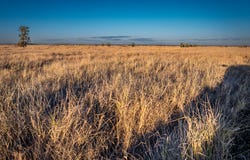1310 Humbug Road, The Gums, Qld 4406