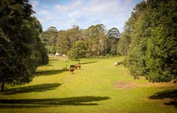 89 Black Pinch Road, Pomona, Qld 4568