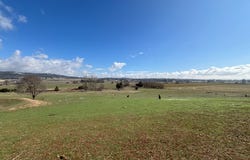 226 Gormans Hill Road, Gormans Hill, NSW 2795