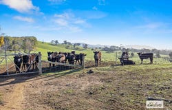 CA 111-115 Pyrenees Highway, Amphitheatre, Vic 3468