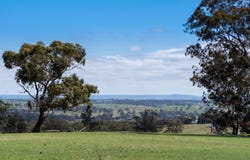 1291 Carlwood Road, O'Connell, NSW 2795