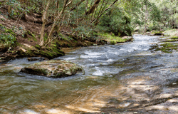 194 Bendeela Road, Kangaroo Valley, NSW 2577