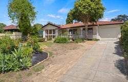 6   CLARE AVENUE, Athelstone, SA 5076