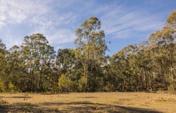 318 White Cedars Road, Mudgee, NSW 2850