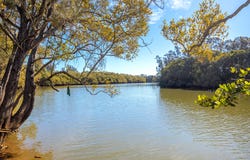 118 North Moto Road, Moto, NSW 2426