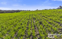 1296 Alexandrina Road, Finniss, SA 5255