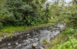 2015 Collins Creek Road, Collins Creek, NSW 2474