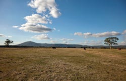 65 Lawson Road, Gisborne, Vic 3437