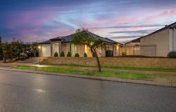 9 Newbliss Gardens, Butler, WA 6036
