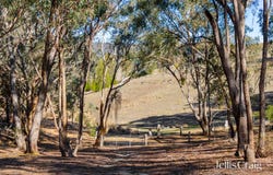 27 Palmerston Street, Newstead, Vic 3462